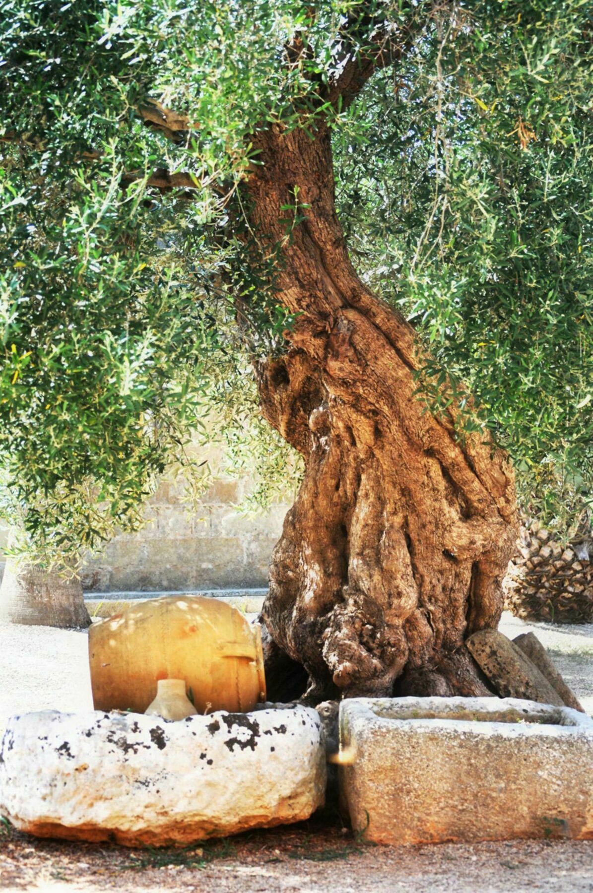 فيلا أغريتوريسمو ماتينيه أليسانو المظهر الخارجي الصورة